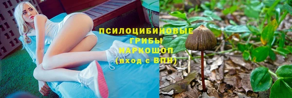 трава Алексин