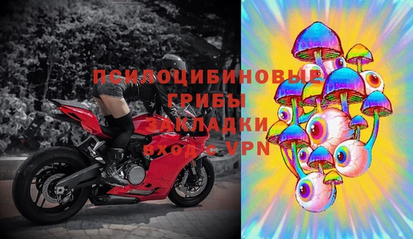 трава Алексин