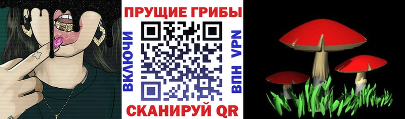 MEGA ссылка  закладка  Анапа  Галлюциногенные грибы Psilocybe 