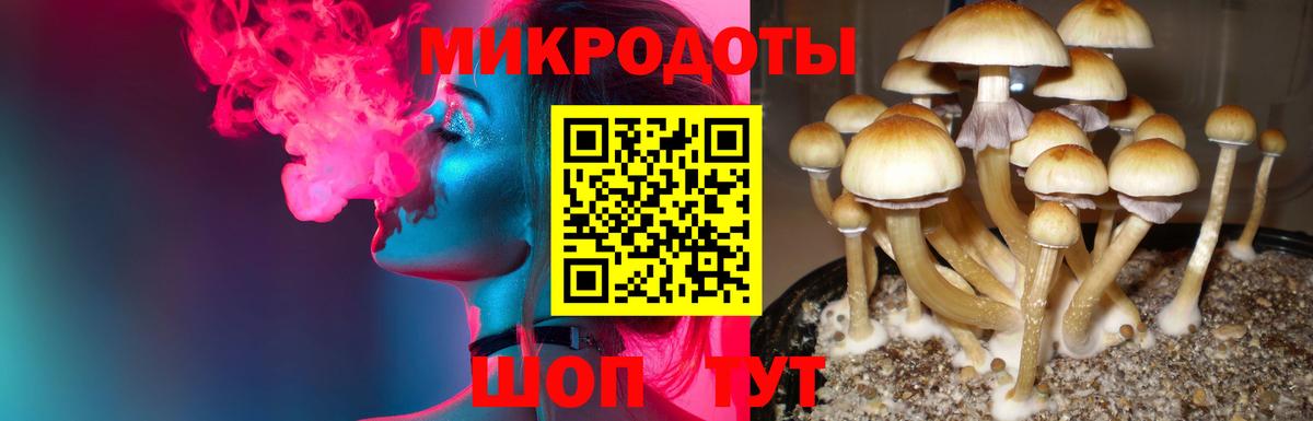Псилоцибиновые грибы GOLDEN TEACHER  Псилоцибиновые грибы Cubensis  Вход с VPN  как найти закладки  Анапа 